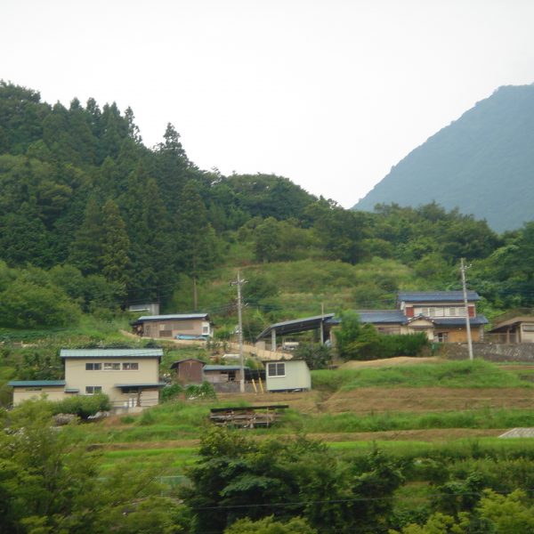 Elizabeth Allan Shimobe