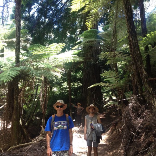 Elizabeth Allan family tree