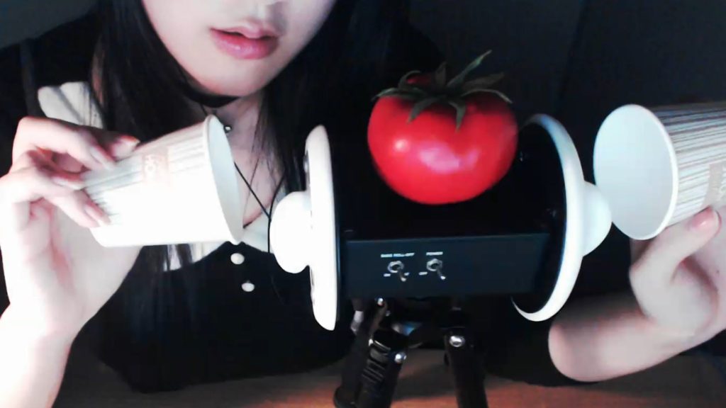 ASMR PPOMO mic