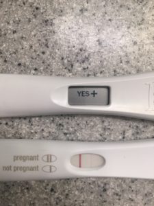 Pregnancy Test